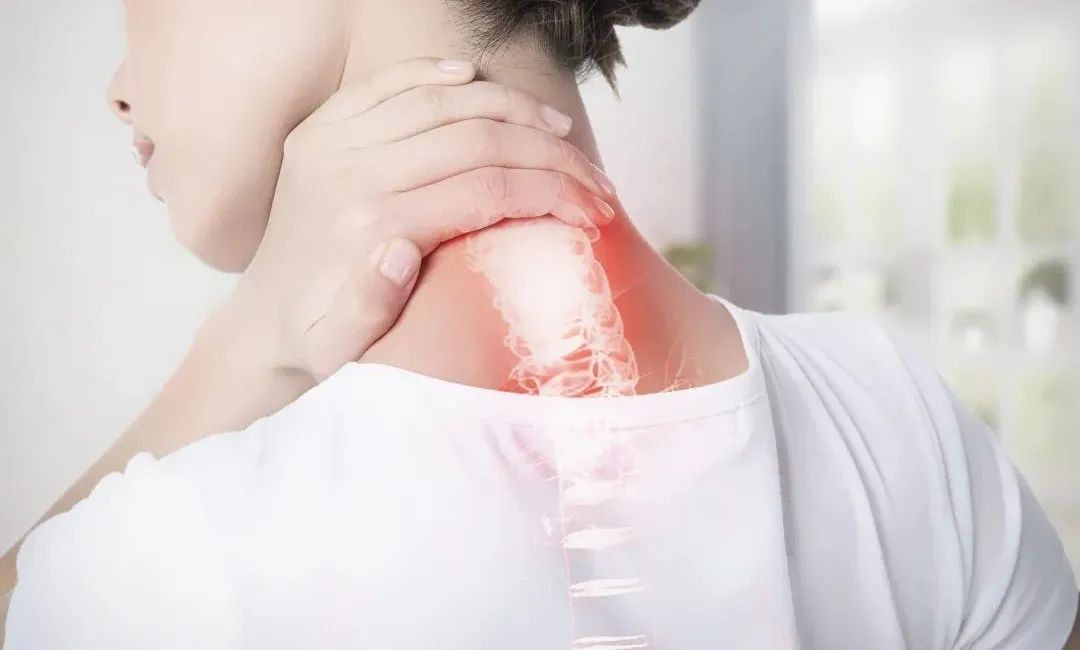 1690273026333784.jpg 640.jpg