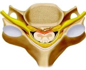 1690273276778961.jpg 640 (3).jpg