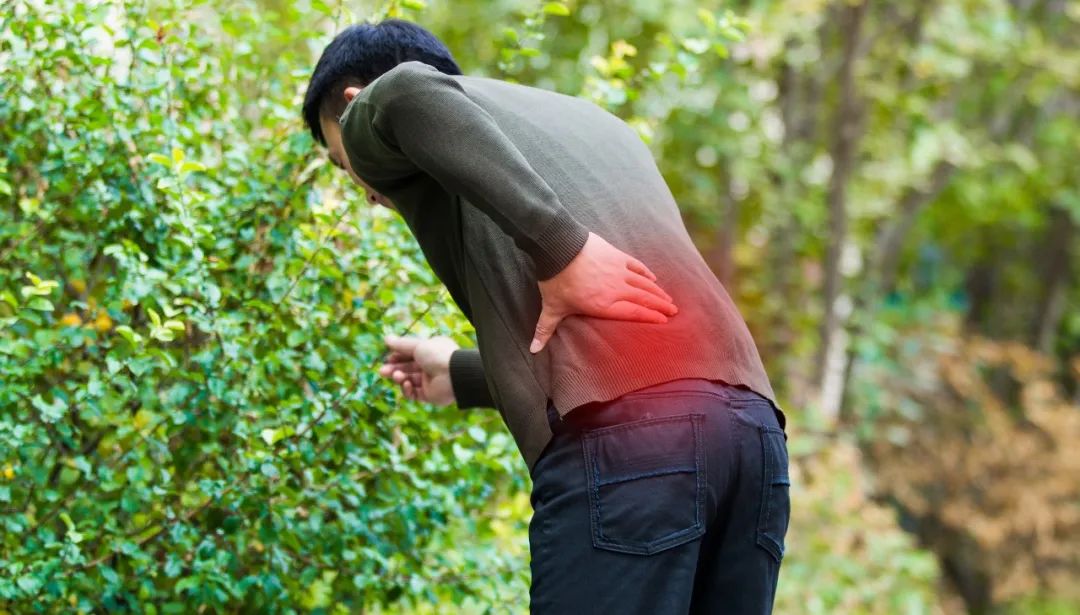 1688347898990760.jpg 640 (2).jpg